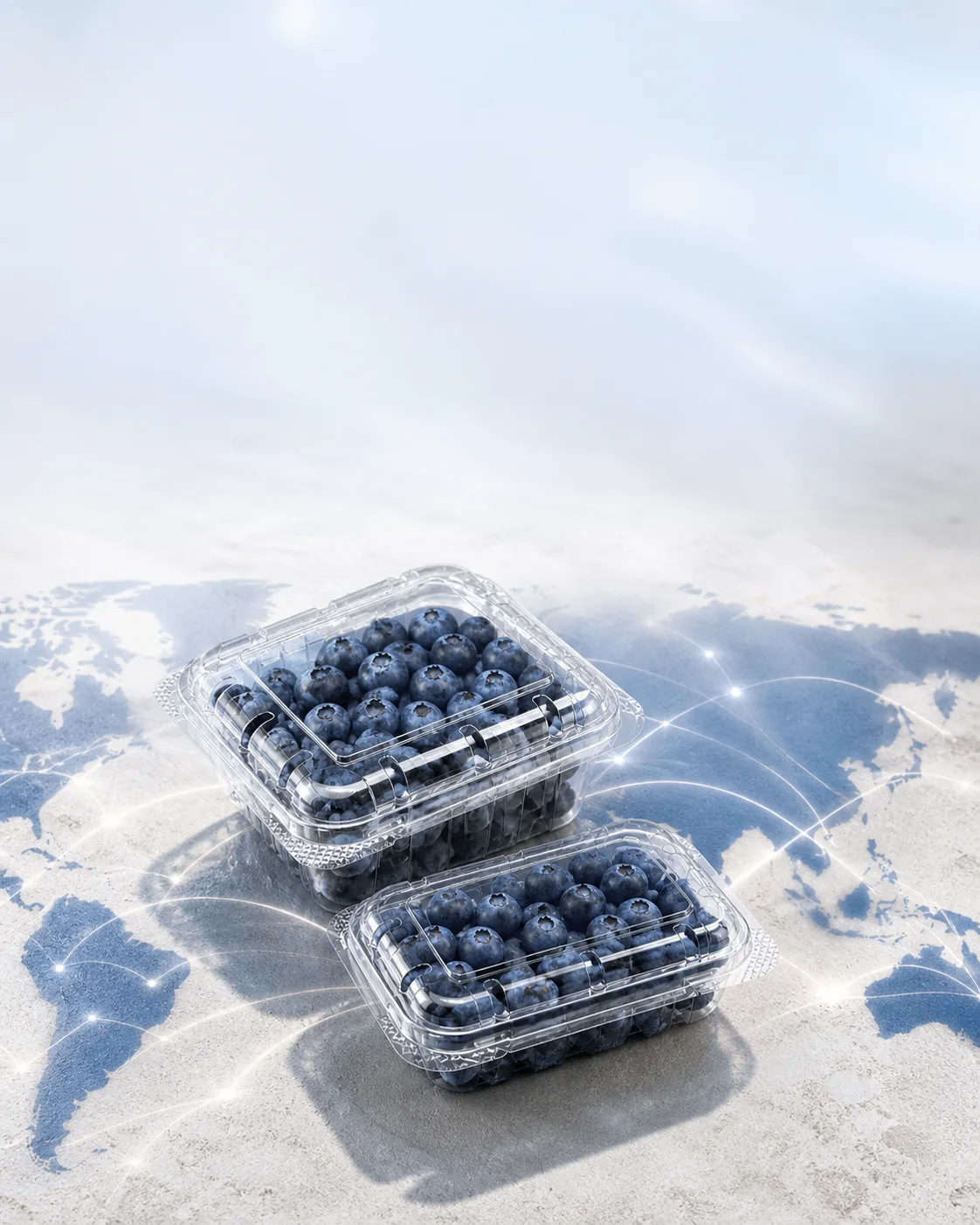 Paras blueberry punnets presented over an export market map