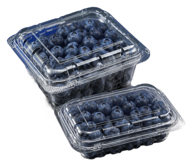 Fruit punnet