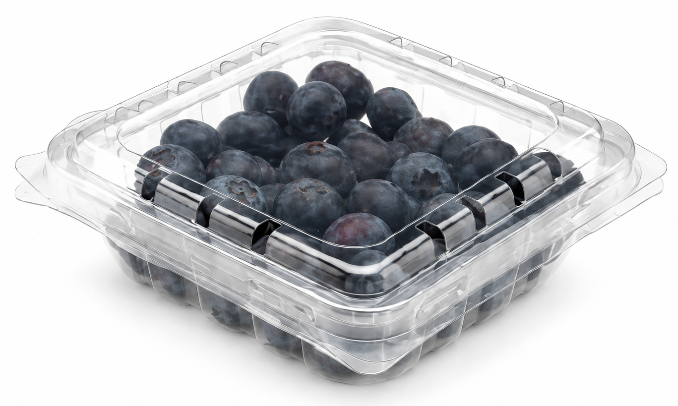 Barqueta PET para arándanos, 100 g