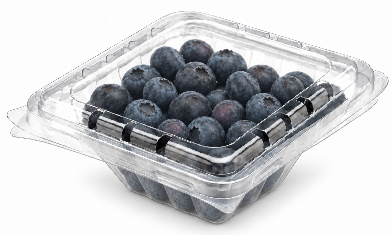 Barqueta PET para arándanos, 125 g