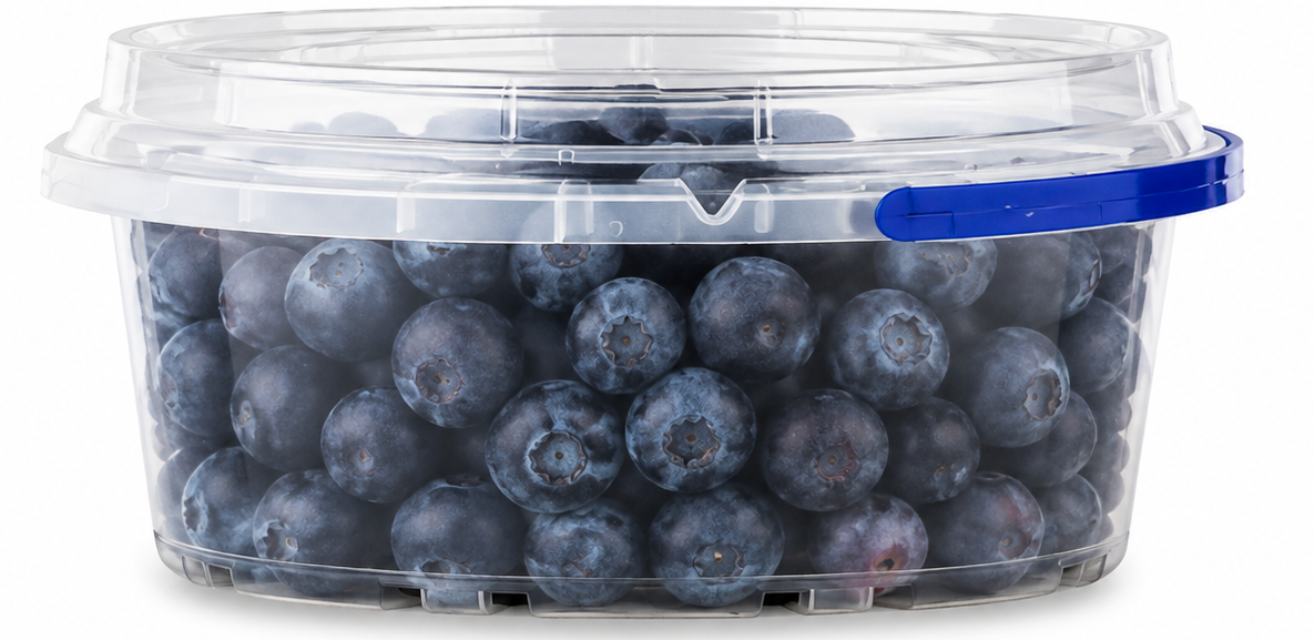 Blueberry Bucket 250 g with blueberries, approved product image