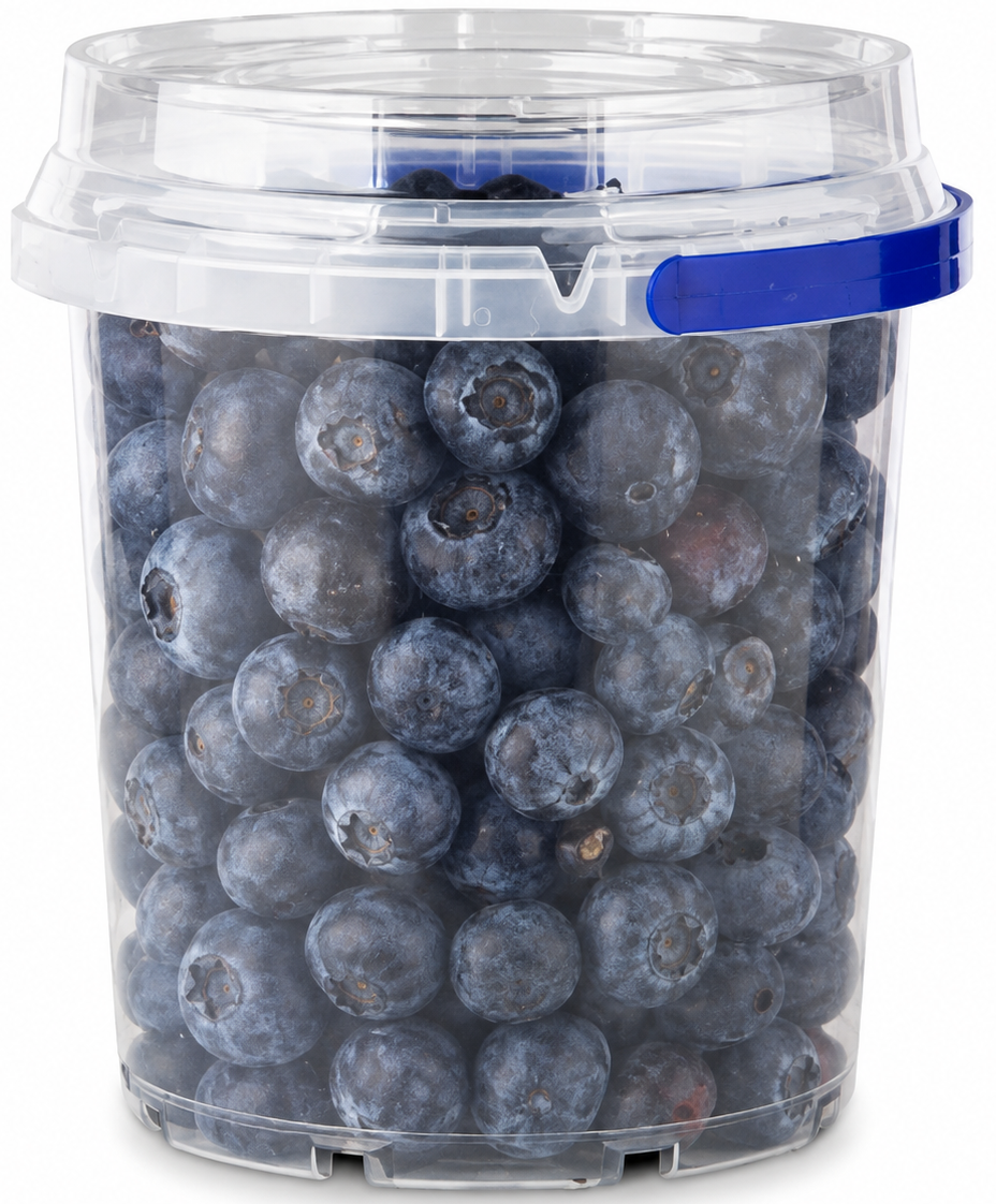 Blueberry Bucket 500 g with blueberries, approved product image