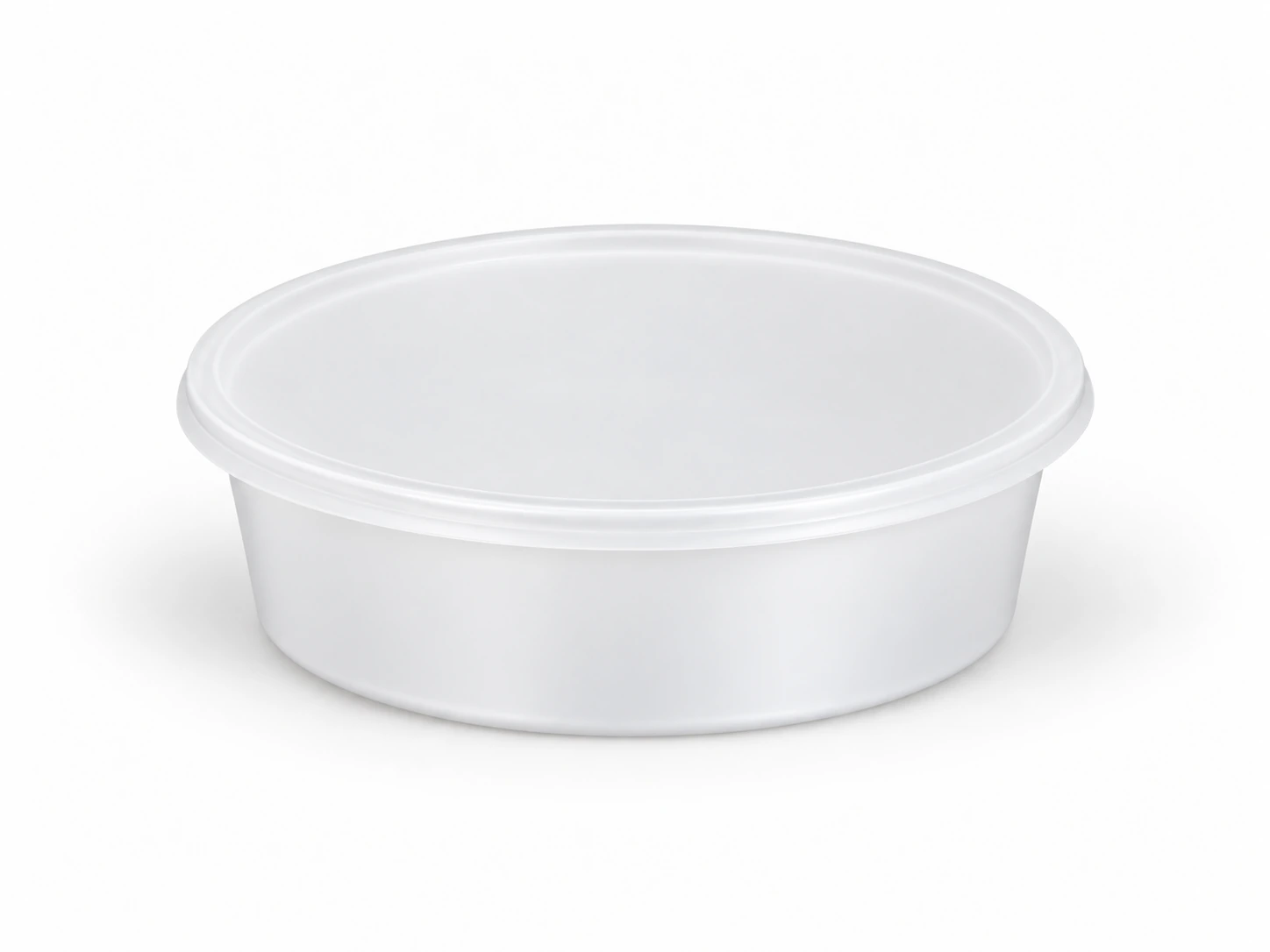 Illustrative product view of Leak Proof Container - 300 ML