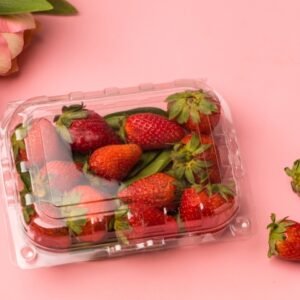 Punnet 500 (43 H) 250 ml